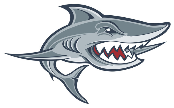 grote witte haai - Vector, afbeelding