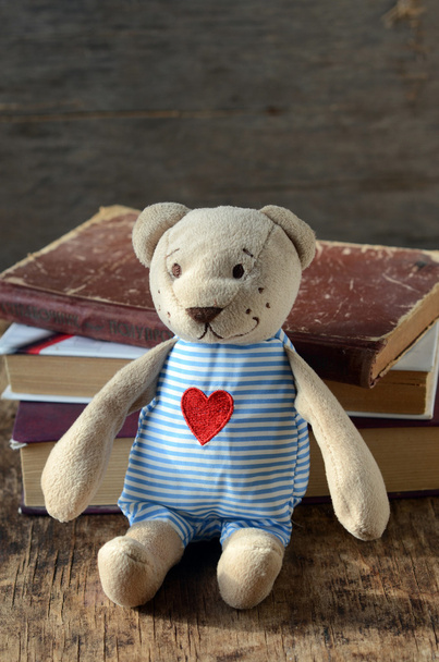 Куча книг и плюшевый мишка
 - Фото, изображение