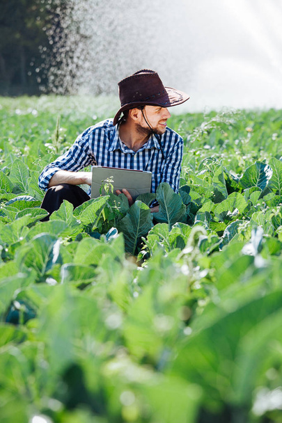 Agricultor utilizando tableta digital en el fondo del sistema de rociadores. Un joven agrónomo se sienta en una plantación y comprueba la calidad del cultivo
. - Foto, Imagen