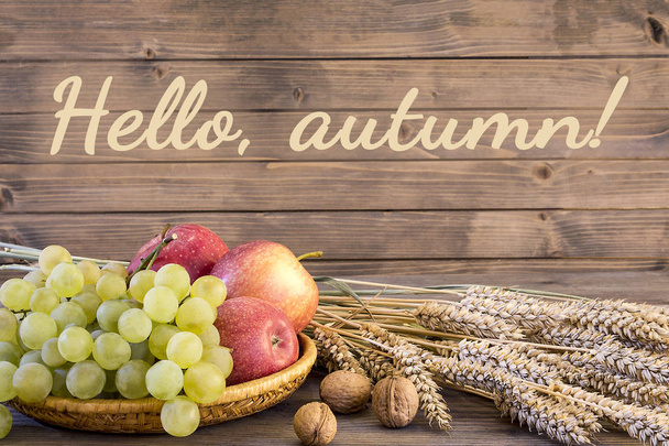 Fall harvest close up colorful frame or banner - Фото, изображение