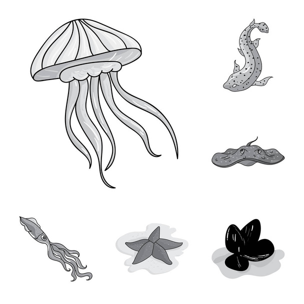 A variety of marine animals monochrome icons in set collection for design. Fish and shellfish vector symbol stock  illustration. - ベクター画像