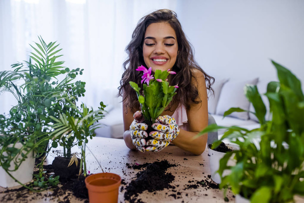 Woman potting plants in pots on wooden table at home, hobby concept  - Photo, image