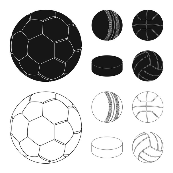 Vectorillustratie van sport en bal pictogram. Verzameling van sport en atletische voorraad vectorillustratie. - Vector, afbeelding