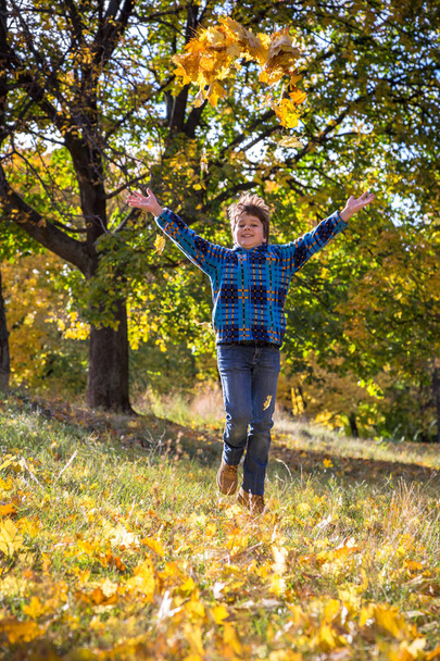 Smiling boy throwing autumn leaves on park - Fotó, kép