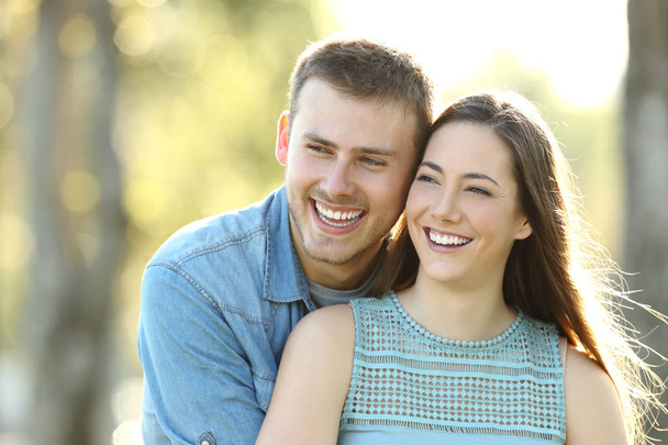 Front view portrait of a happy couple looking away in a park - 写真・画像