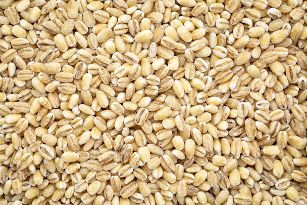 closeup background of pearl barley grain - Foto, immagini