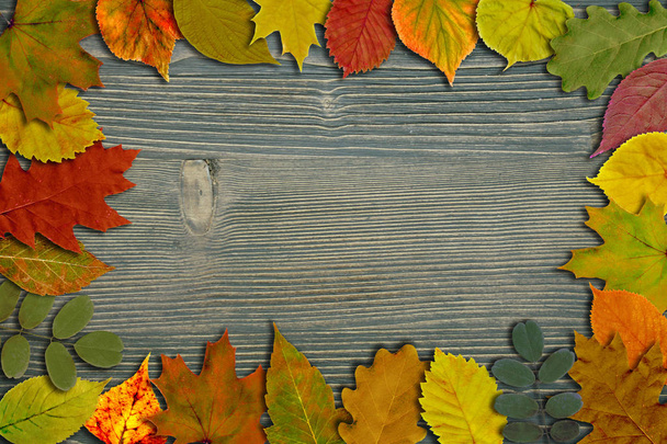 Осінь яскраве різнокольорове листя на фоні старих дерев'яних дощок. Барвисте листя. Художня рамка для тексту
. - Фото, зображення