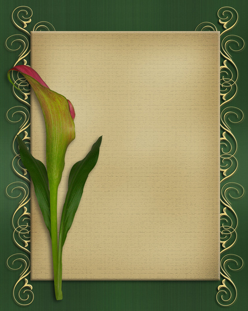 Шаблон пригласительной карты Calla Lily
 - Фото, изображение
