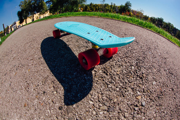Blue plastic skateboard penny board with pink wheels. - Foto, Imagen