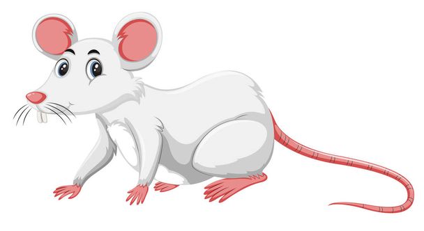 Valkoinen rotta valkoisella taustalla kuva
 - Vektori, kuva