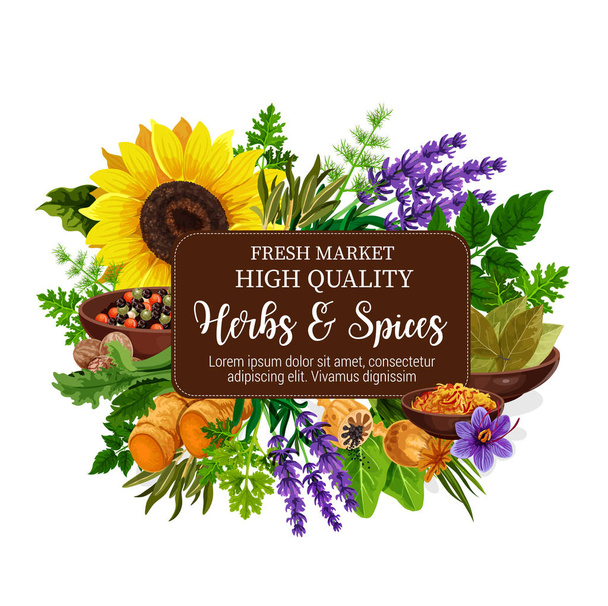 Natural herbs and spices poster - Vector, Image