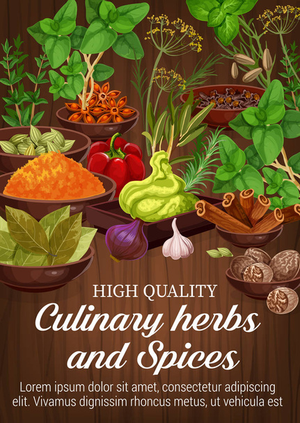 Herbs and spices on wooden background - Vector, Image