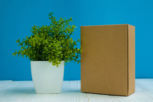 Empty Package brown cardboard box or tray and little decoration tree in white vase on bright white wooden table with blue wall background. copy space for add text or advertising word. - Photo, Image