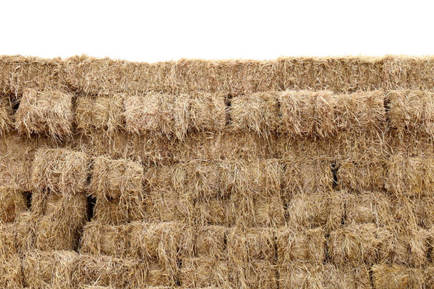 straw, straw block cube wall, row pile straw dry, hay isolated white background, straw for decoration event country cowboy style concept idea farm background - Photo, Image