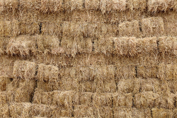 straw, straw block cube background, dry straw backdrop. straw cube wall background - Zdjęcie, obraz
