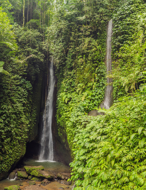 Leke Leke waterfall and green tropical plants on Bali island, Indonesia - 写真・画像