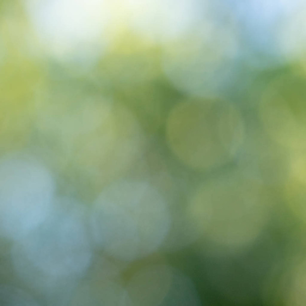 Yellow and blue bokeh circles on a blurred natural green background. Beautiful layout for your ideas - Fotó, kép