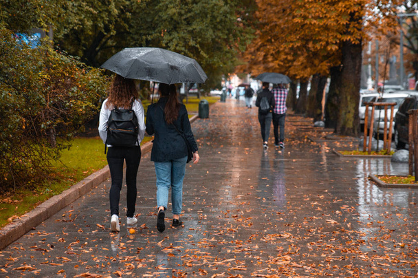 chodzenie w deszczu jesienią pod jednym szyldem dwie kobiety. Żółte liście na ziemi - Zdjęcie, obraz