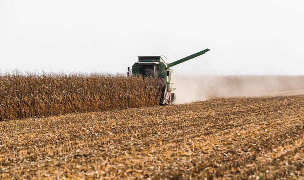 Harvesting of corn fields with combine - 写真・画像