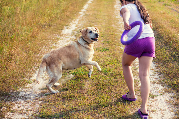 Young girl with Labrador retriever dog walking on the field. Dog looking at the girl - 写真・画像