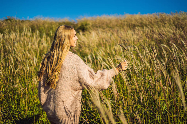 Young beautiful woman touching wheat spikes in field  - 写真・画像