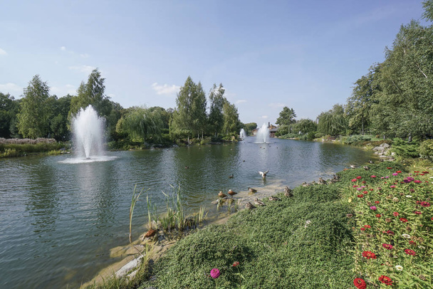 Vodní fontána na rybníku v parku v létě - Fotografie, Obrázek