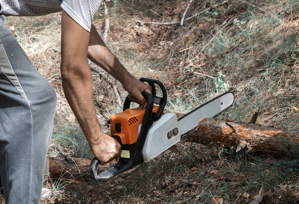im Wald sägt ein Mann mit der Kettensäge einen Baumstamm. - Foto, Bild