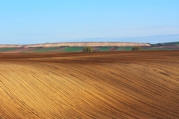 Terreno de cultivo con suelo arado
 - Foto, Imagen
