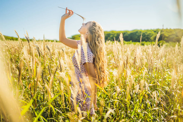 Young beautiful woman posing in field at sunny day - 写真・画像