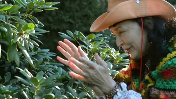 Mulher elegante adulto em chapéu de cowboy e um poncho multicolorido goza da beleza da natureza e joga as folhas jogando arbusto no parque. Conceito de lazer ativo para pessoas de meia-idade e idosas
. - Filmagem, Vídeo