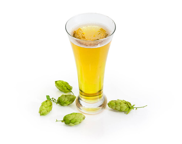 Copo de cerveja com cerveja lager entre os cones de lúpulo em um fundo branco
 - Foto, Imagem