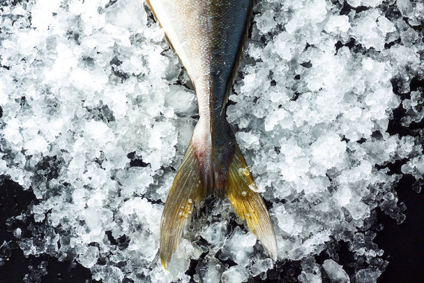 Top view of fresh tuna tail on ice on black background - Photo, image