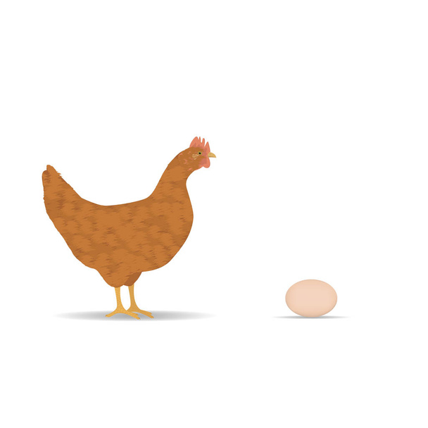 galinha vermelha com ovo no fundo branco
 - Vetor, Imagem