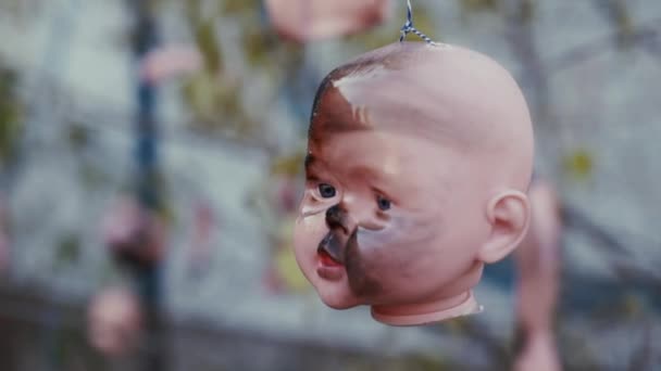 Teste di orrore e altre parti di bambole appese agli alberi
 - Filmati, video