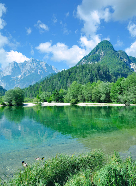 Jezero Jasná u Kranjské hory v národním parku Triglav, Slovinsko - Fotografie, Obrázek