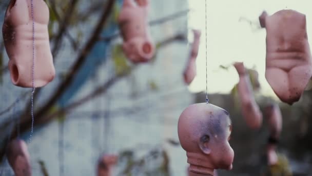 Головы ужаса и другие части кукол висят на деревьях
 - Кадры, видео