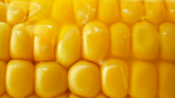 Gieten hete boter of olie over rijpe gele verse maïs op cobs - Video