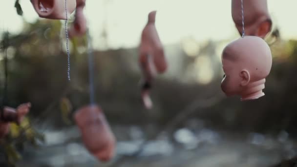 Horror hoofden en andere delen van de poppen hangen van bomen - Video