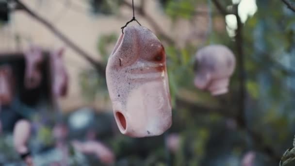 Cabeças de terror e outras partes de bonecas penduradas em árvores
 - Filmagem, Vídeo