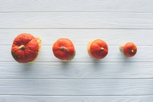 vista elevada de pequeñas calabazas otoñales naranjas en fila sobre una mesa de madera
  - Foto, imagen