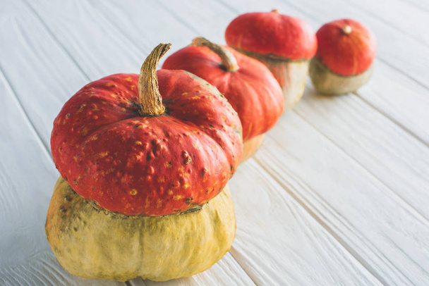 selective focus of small orange autumnal pumpkins in row on wooden tabletop  - 写真・画像