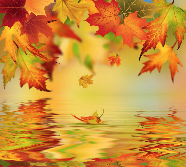 Autumn background, falling leaves with reflection  - Vector, Image