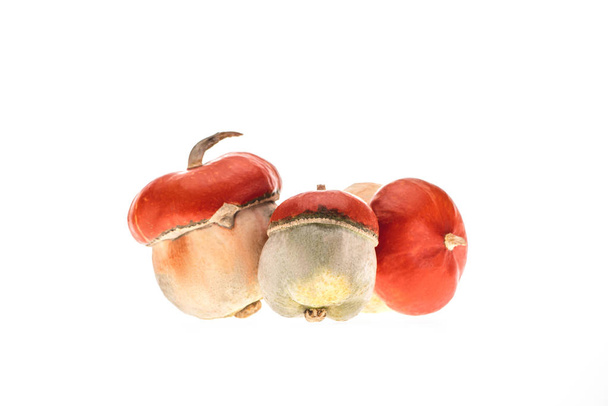 drie kleine herfst pompoenen geïsoleerd op wit - Foto, afbeelding