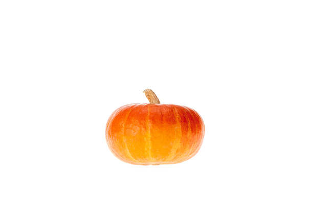 one orange autumnal pumpkin isolated on white - Фото, зображення