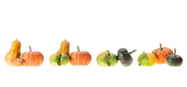 panoramic view or ripe autumnal pumpkins isolated on white - Photo, Image