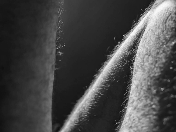Uma visão de perto do cabelo nas pernas de um homem adulto
. - Foto, Imagem