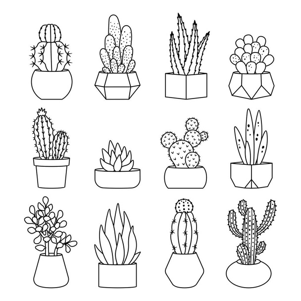 Line style cactus and succulents vector set - Vector, Image