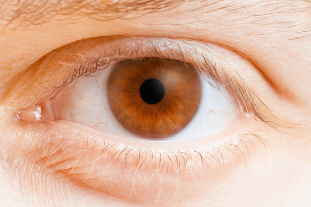 menselijk oog van dichtbij - Foto, afbeelding
