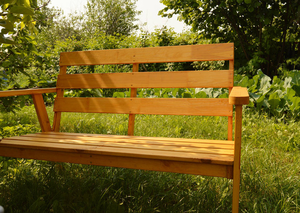 Banc en bois dans le jardin d'été pour la conception de patio, meubles en bois naturel - Photo, image