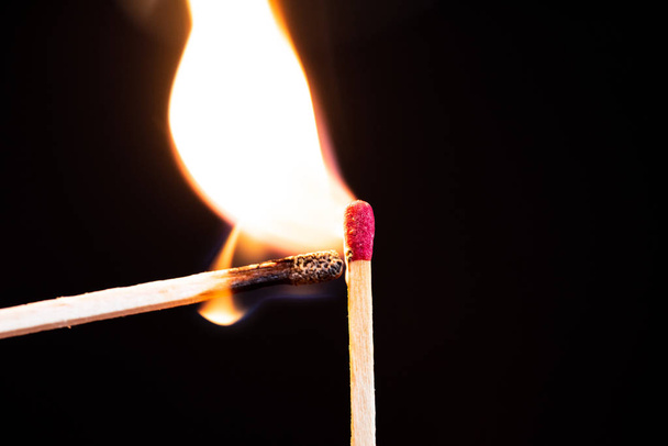 Lit match next to a row of unlit matches. The Passion of One Ignites New Ideas, Change in Others. - Photo, Image